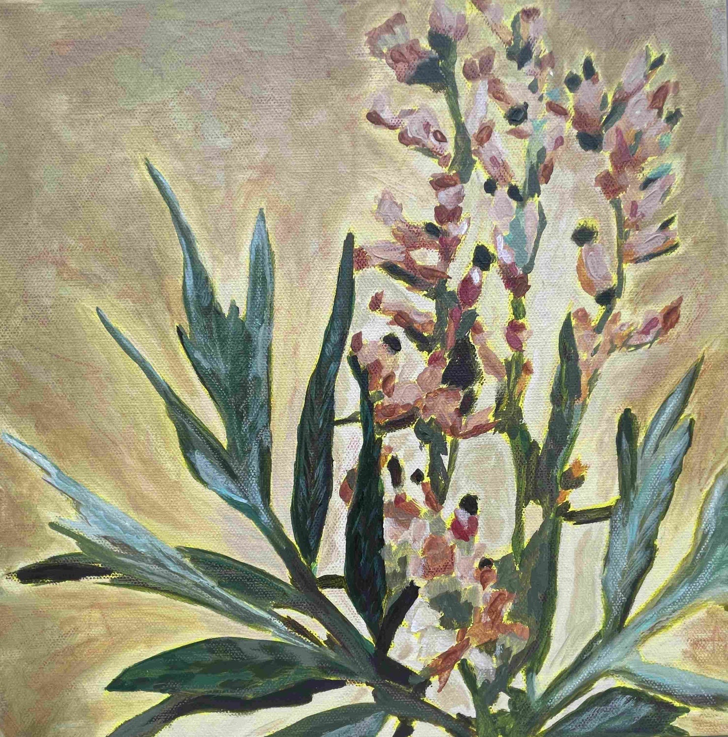 Artemesia: The Dreamer
