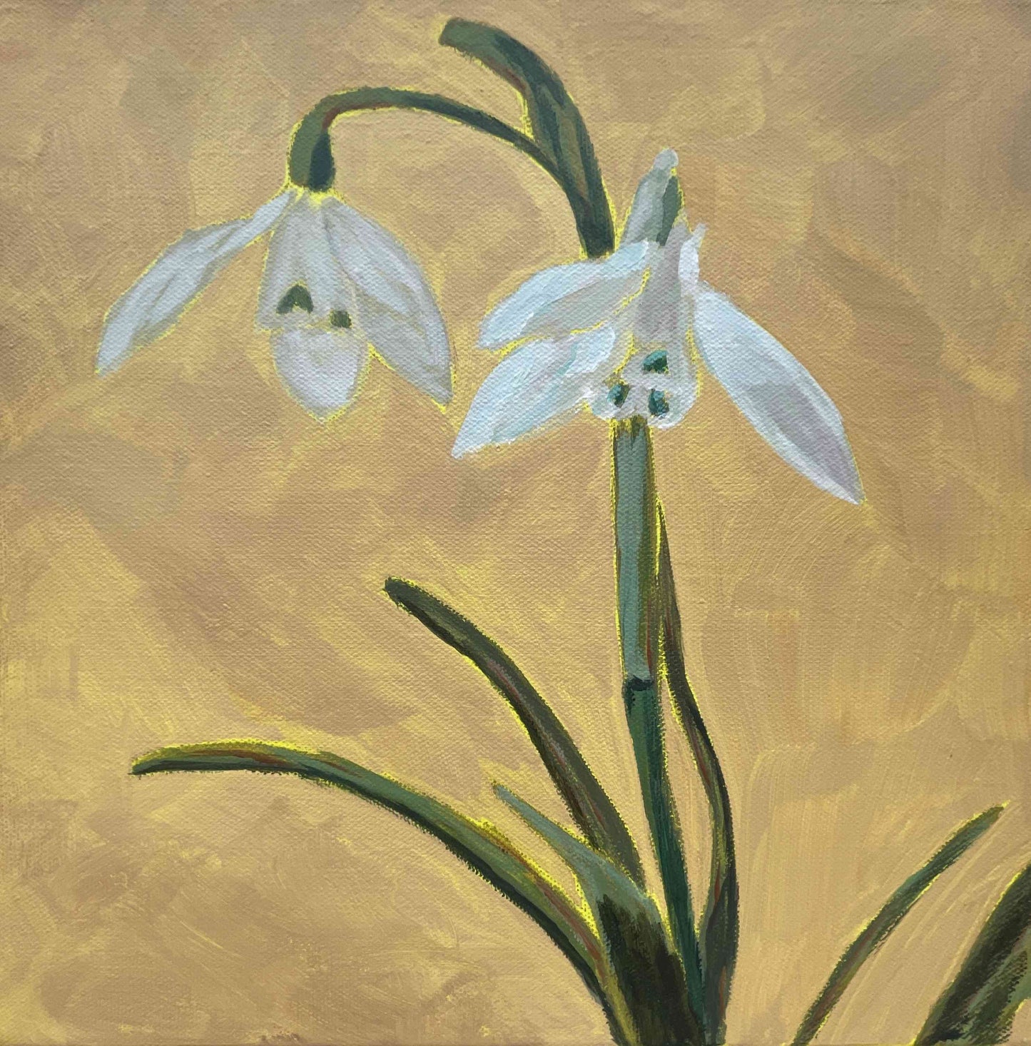 Snowdrop: The Memory Keeper