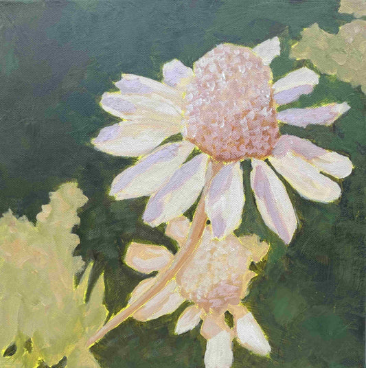 Chamomile: Serenity