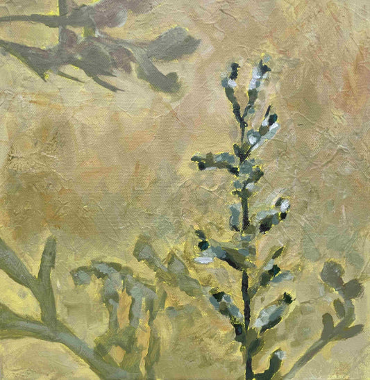 Fumaria: Clarity