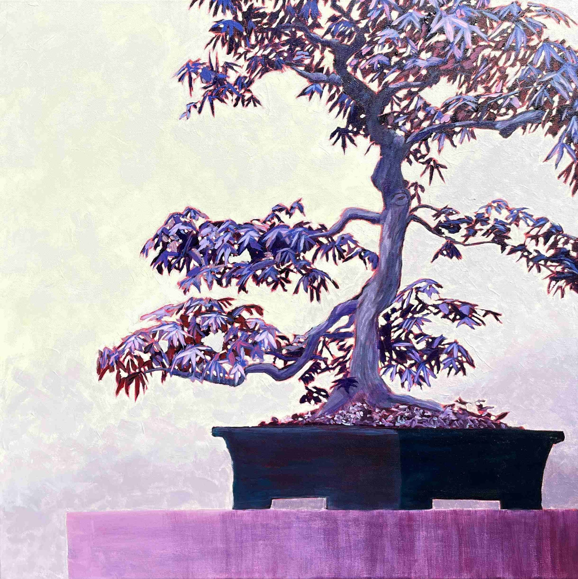 purple maple bonsai tree Illumination – Kara Lund Studio