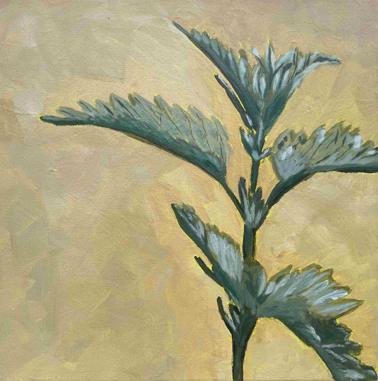 Nettle: The Comforter