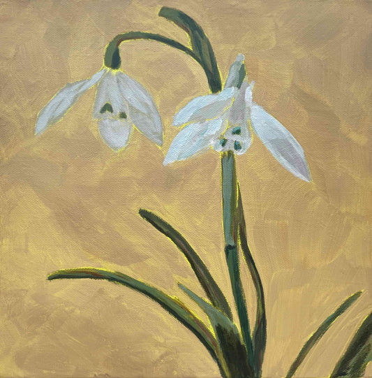 Snowdrop: The Memory Keeper