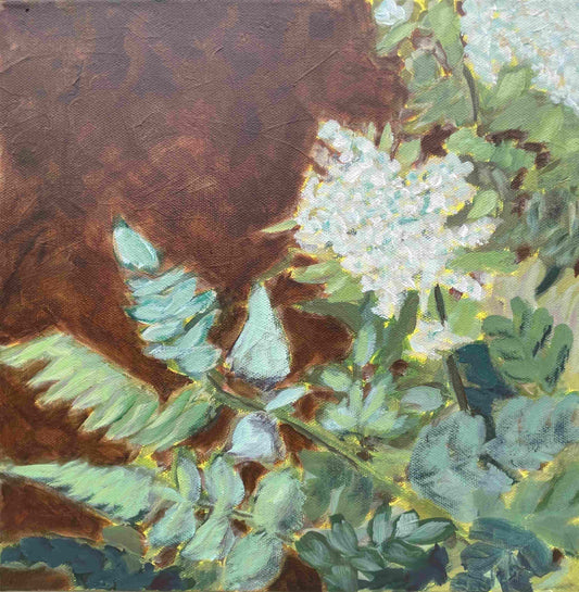 Sweet Cicely: The Messenger
